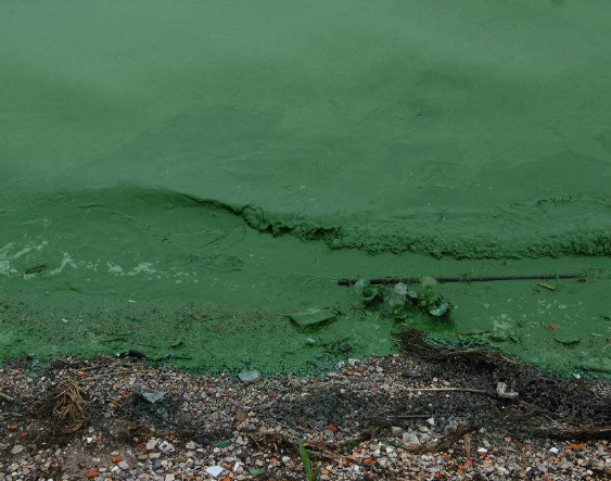 工業廢水cod一般為多少？深圳廢水檢測機構